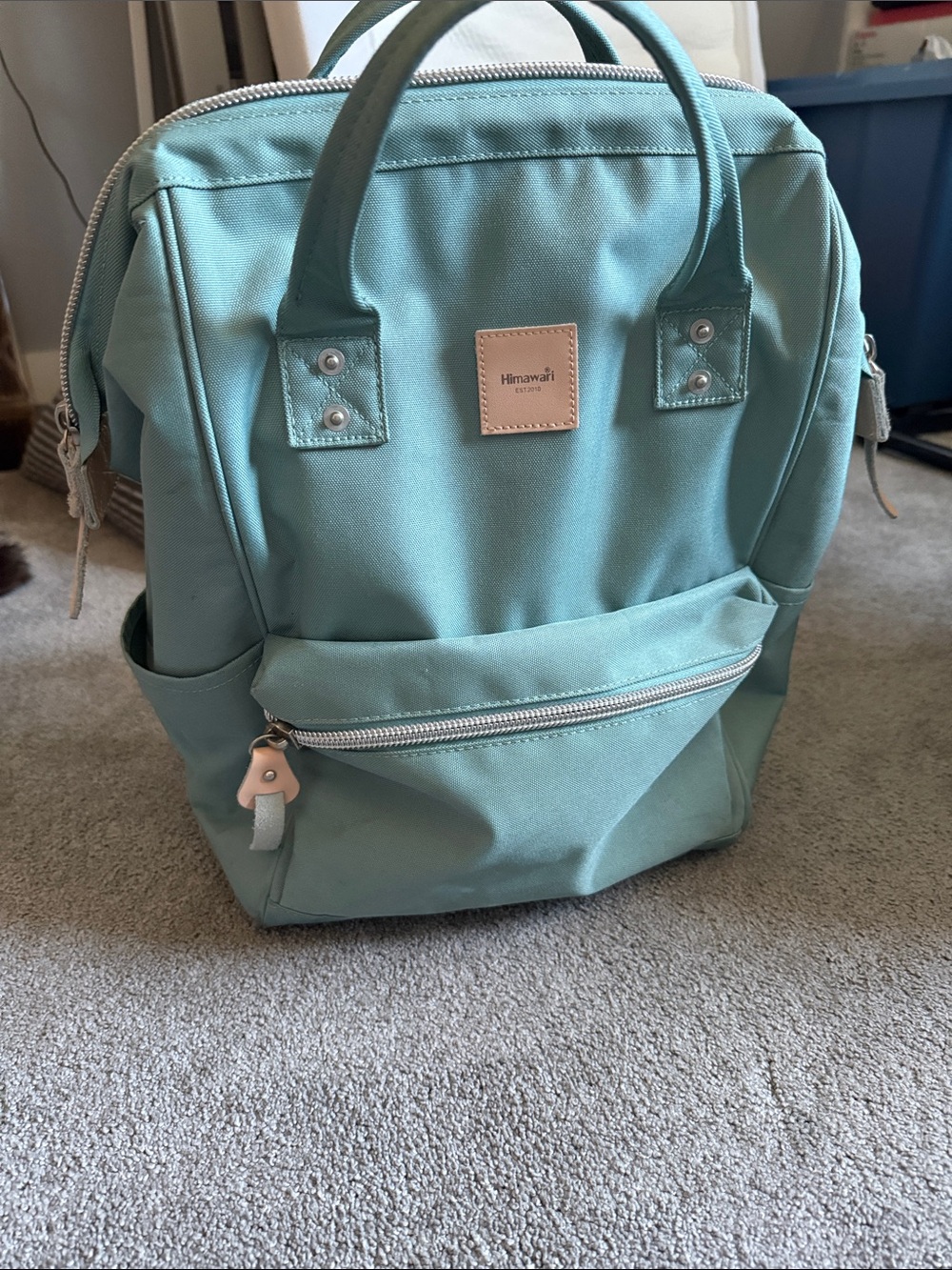 Himawari Mint Green Backpack - Women Bags